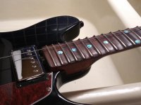 Scalloped Frets1.jpg