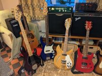 Collection 1.jpg