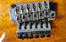 MM_EVH_FR2.jpg MM_EVH_FR2.jpg