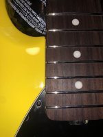 IMG_1181.jpeg