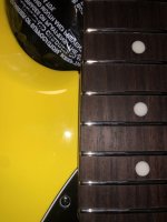 IMG_1182.jpeg