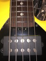 IMG_1183.jpeg