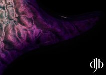 large_0012.jpg large_0012.jpg