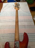 stingray after.jpg