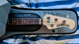 Mono-Stealth-Guitar.jpg