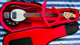Gator-Transit-Guitar.jpg