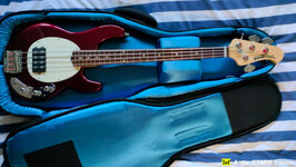 Reunion-Blues-RBX-Guitar.jpg