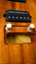 IMG_20160429_144337449.jpg