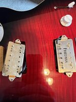 ASS1pups.jpg ASS1pups.jpg