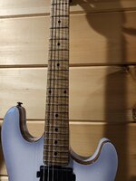Sabre Fretboard.jpg