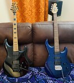 IMG_3655.jpeg