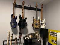 IMG_5249.jpeg