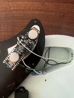 IMG_7977 JPEG.jpg
