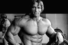 Il-etait-une-fois-Arnold-Schwarzenegger.jpg
