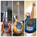 Bongo Collage.JPG