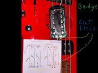D1734089-3738-44DB-B13B-C4474CA92ACC.jpeg D1734089-3738-44DB-B13B-C4474CA92ACC.jpeg