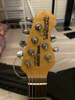 IMG_9313 (Small).jpg IMG_9313 (Small).jpg
