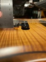 IMG_1641.jpeg