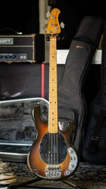 IMG_8523.jpeg