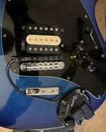 IMG_0946.jpeg