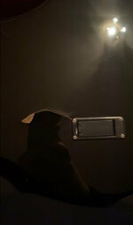 IMG_6369.jpeg