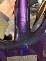 IMG_9796-min.jpeg