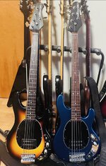 IMG_0178.jpeg