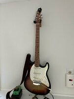 IMG_1050.jpeg