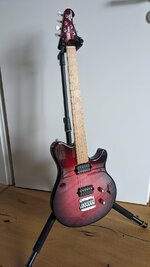 PXL_20240401_142619651.jpg