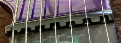 IMG_0049.jpeg