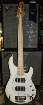 EBMMSR5 WHITE DR STRINGS 2.jpg