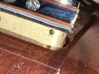 IMG_4977.jpeg IMG_4977.jpeg