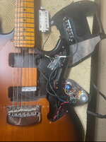 IMG_2961.jpeg