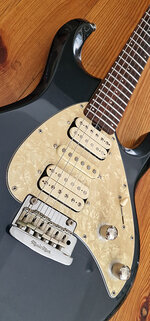 silhouette_pickguard.jpg