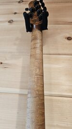 EBMM JR Cutlass Neck Rear.jpg EBMM JR Cutlass Neck Rear.jpg