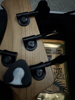 IMG_3110.jpeg IMG_3110.jpeg