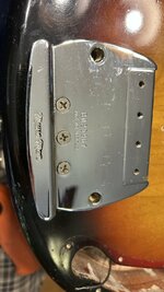 IMG_2893.jpeg