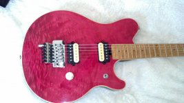 pinky evh 2.jpg