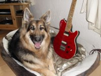 rats,blade and guitar.also mo 026.jpg