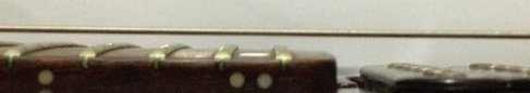 24th fret 3.jpg