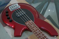 01-bongo_IGP5862-tb.jpg