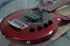 05-bongo_IGP5872-tb.jpg