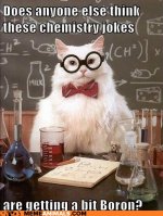 57119_advice-animals-memes-chemistry-cat-boron.jpg