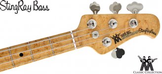 ccstingray4_03.jpg