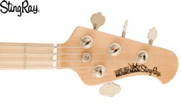 stingray04.jpg