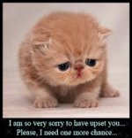 apologies.jpg