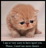 apologies_lg.jpg