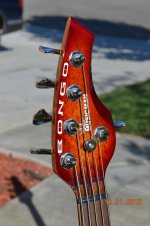 DSC_0531.jpg