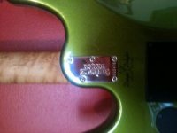 dargie neck plate.JPG