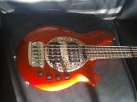 basses 034.jpg